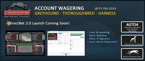 greyhoundchannel|Greyhound Network .